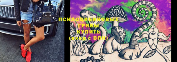 стаф Абдулино
