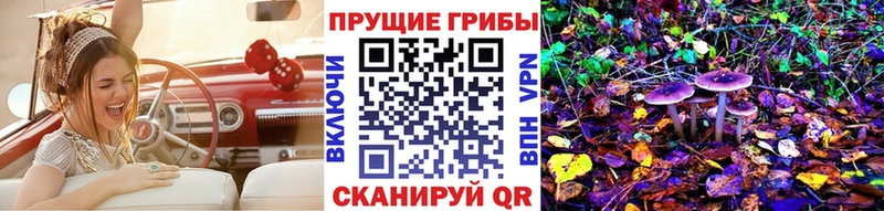 купить цена Инза Галлюциногенные грибы мицелий