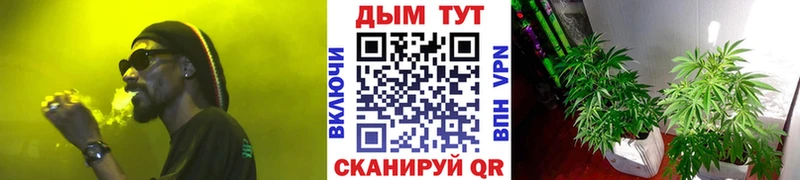 ссылка на мегу сайт  Инза  МАРИХУАНА Bruce Banner 